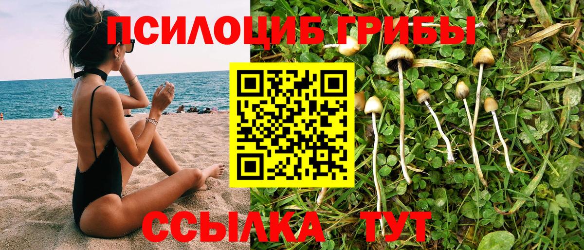 Псилоцибиновые грибы ЛСД Вичуга