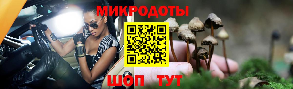Вичуга  Галлюциногенные грибы Psilocybe  Вход с VPN 